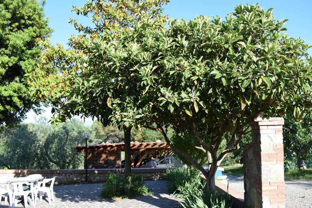 Agriturismo Amina, Winery & Hiking Vagliagli Ngoại thất bức ảnh