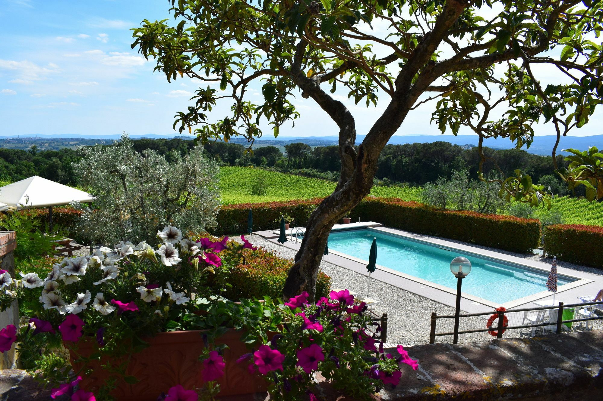 Agriturismo Amina, Winery & Hiking Vagliagli Ngoại thất bức ảnh